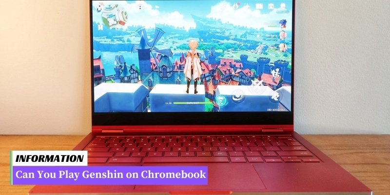 A person using a Chromebook to play Genshin game.