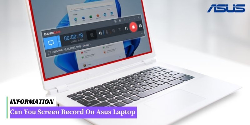 A step-by-step guide on removing the screen of an Asus laptop. Learn how to safely detach the screen.