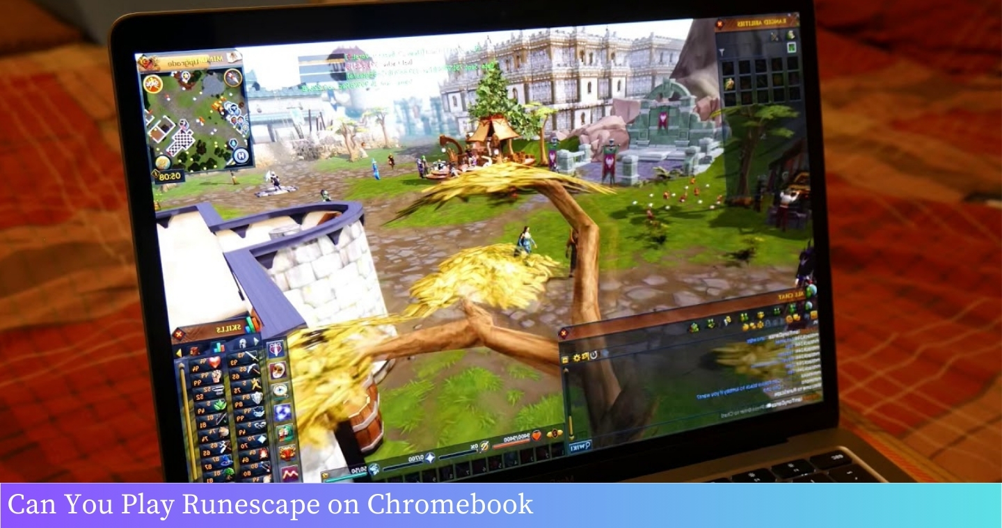 A person flying over a scenic landscape using a Chromebook.