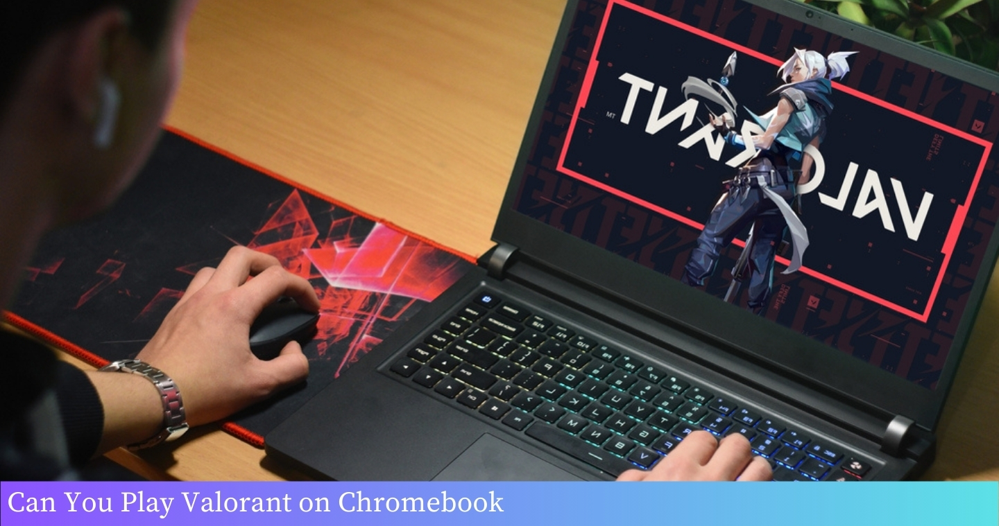 A person using a Chromebook to play the game Vanguard.